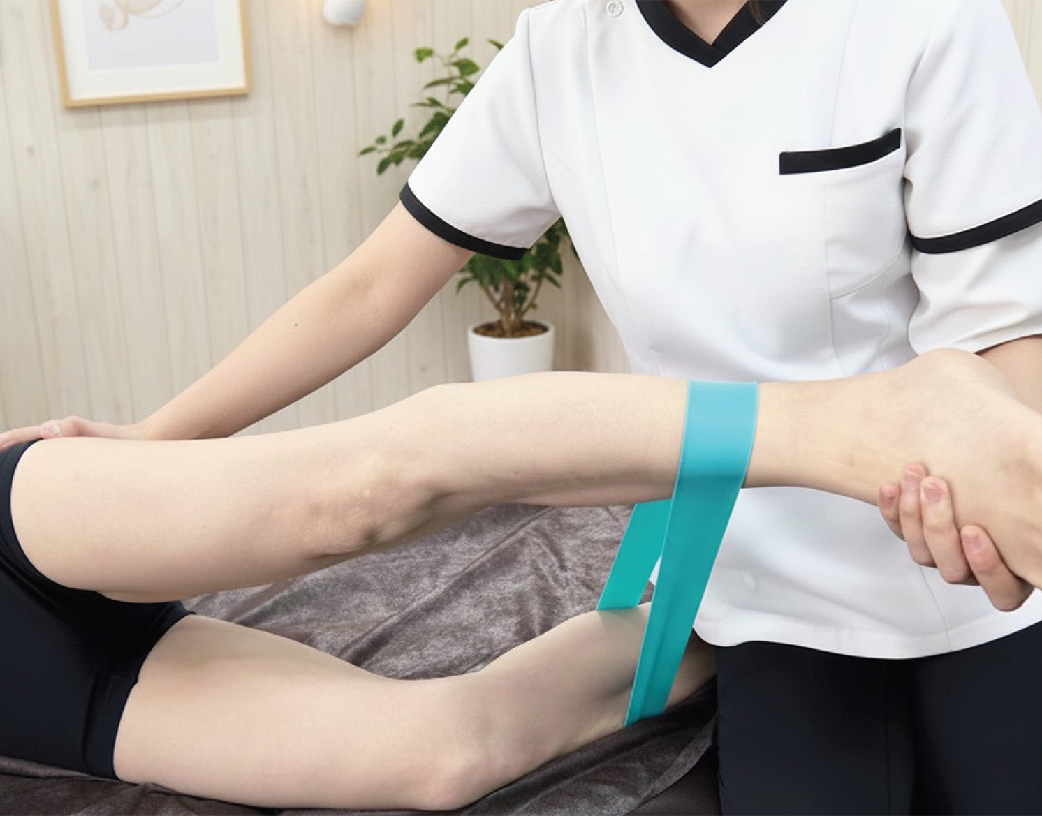 メインビジュアル画像